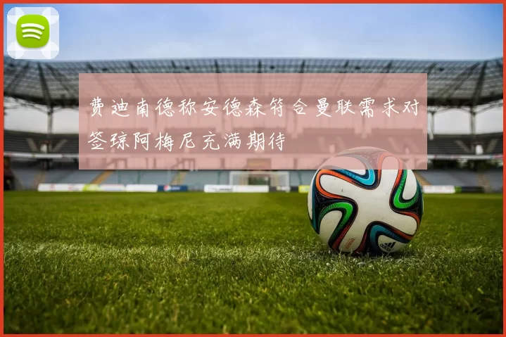 费迪南德称安德森符合曼联需求对签琼阿梅尼充满期待