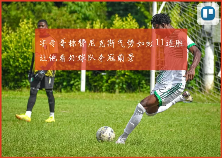 字母哥称赞尼克斯气势如虹11连胜让他看好球队夺冠前景